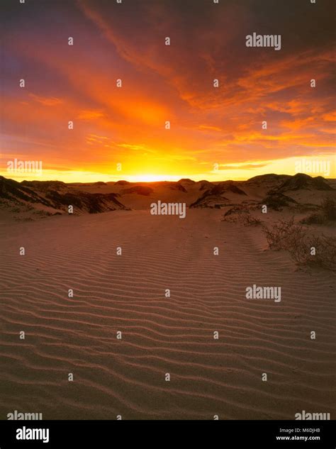 Pismo Beach State Park Stockfotos und -bilder Kaufen - Alamy