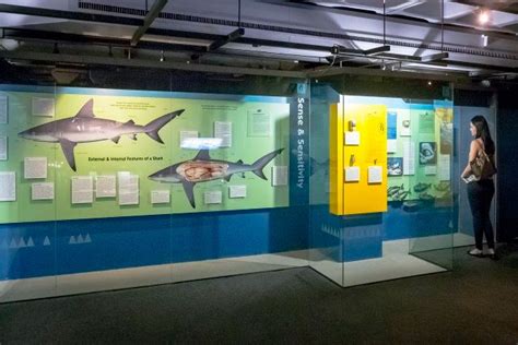 Iziko South African Museum, Cape Town