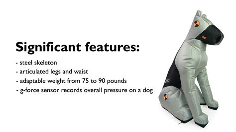 New Sleepypod Crash Test Dummy Dogs Test the Efficacy of Car Safety Restraints | Business Wire