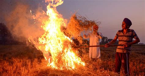 Why is paddy straw not being used to produce biomass energy to save ...