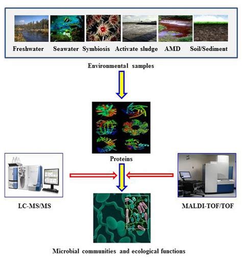 Environmental Microbial Community Proteomics: Status, Challenges and ...