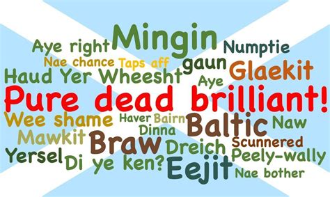 Curious Minds talk "Pure dead brilliant: Language & identity in ...