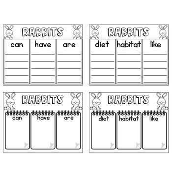 Rabbits- Graphic Organizers-Writing-Labeling Parts of a Rabbit- Spring ...