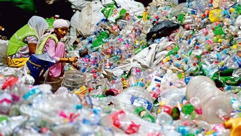 India Waste Problem 的图像结果