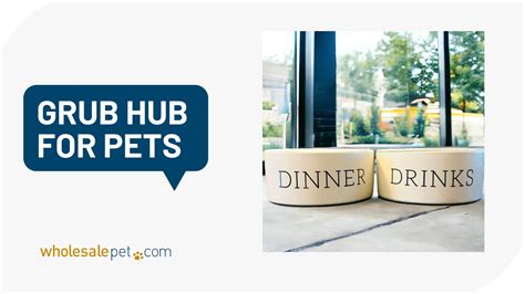 Bowls & Feeding Supplies – Beyond the Bowl – WholesalePet.com