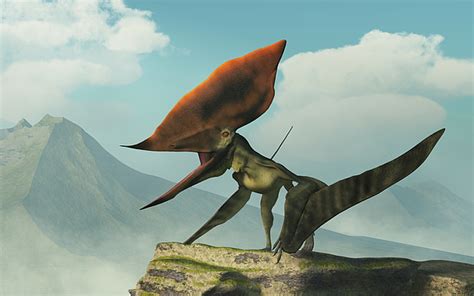 Image result for Alien Planet Eosapien