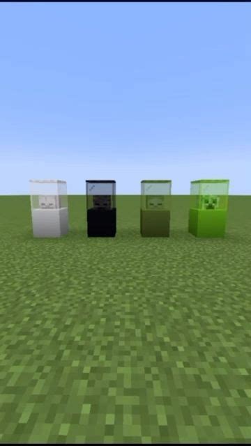 Image result for Minecraft Display Case Mod