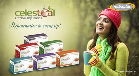 NUTRIPLUS SUGAR FREE COMBO