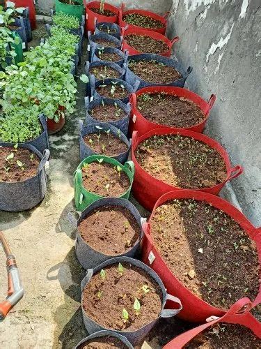 Plant Grow Bags - Grow Bags Geo Fabric Trader - Wholesaler ...
