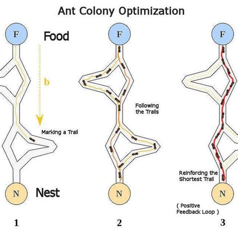 Image result for Ant Colony Optimization Formula