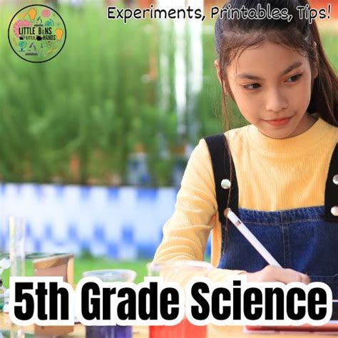 5 Grade Science Projects 的图像结果