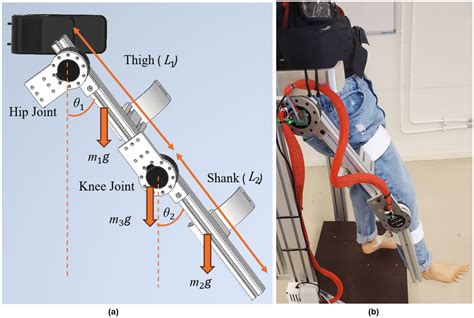 Wireless PID-Based Control for a Single-Legged Rehabilitation Exoskeleton