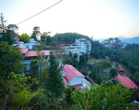 DLS Forest Vines: Where Student Groups Create Lasting - Copy | DLS ...