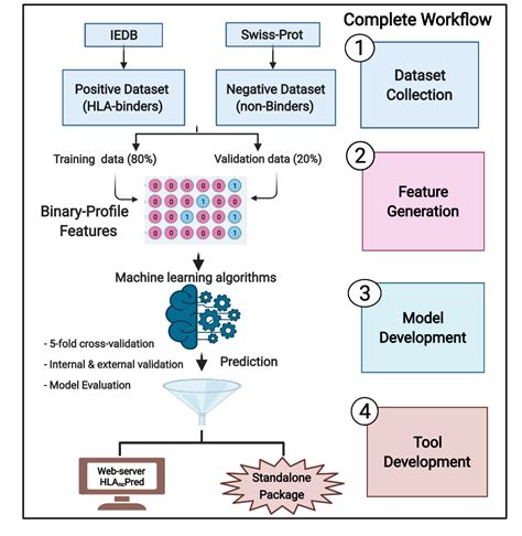 HLAncPred: Non-classical HLA-binders prediction