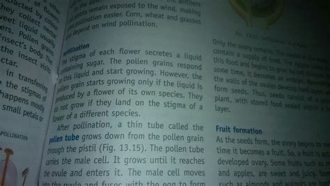 define fertilization in plants - Brainly.in