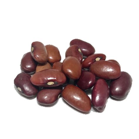 Collection of Dry Beans PNG. | PlusPNG