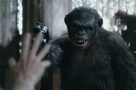 《猩球崛起3》全新中文预告发布 人猴两军全面开战_新浪游戏_手机新浪网