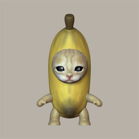 Image result for Cat Writing Python Code