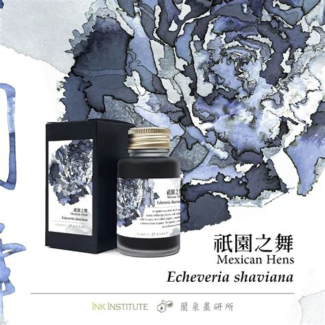Ink Institute Fountain Pen Inks Meander Series Mexican Hens 30 ml – The ...