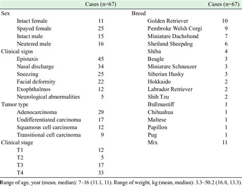 Information About Dogs 的图像结果