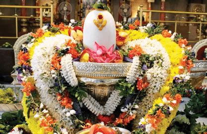 Pandit in Trimbakeshwar Nashik | Vinay Guruji +918329683600