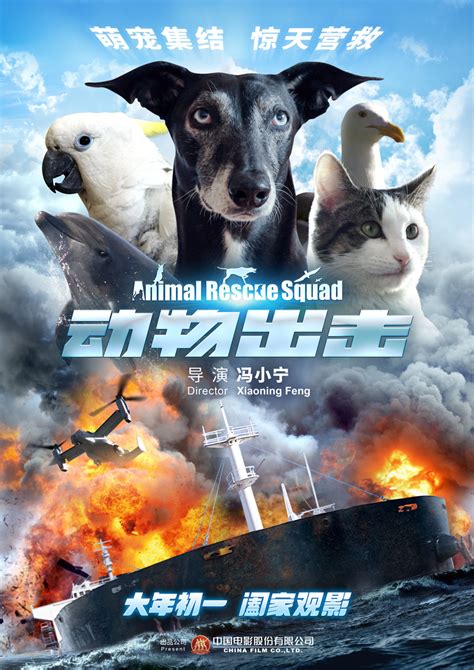 《动物出击》首曝定档海报 大年初一献上阖家欢乐大戏 - 360娱乐，你开心就好