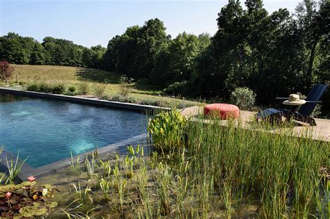 Natural Swimming Pools Design Tropical Pond