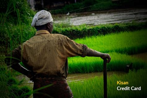 Kerala Grameena Bank :: KGB :: Kerala's own Bank