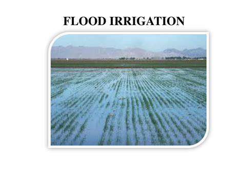 Image result for Irrigation Methods