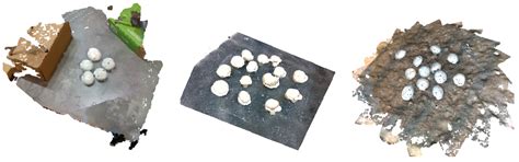 Mushroom Detection and Three Dimensional Pose Estimation from Multi ...