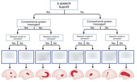 Image result for Aphasia Types Chart Fluent