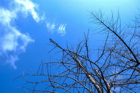 Image result for Spring Hope Reflection