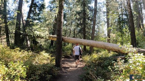 Stewart Falls Hike - A 200 Foot Waterfall in Provo Canyon, Utah