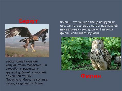 Красная книга Мордовии - презентация онлайн