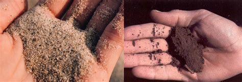 Soil Classification 的图像结果