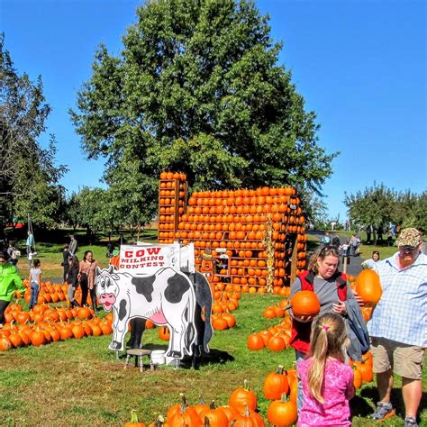 MILBURN ORCHARDS (2025) All You Need to Know BEFORE You Go (with Photos ...