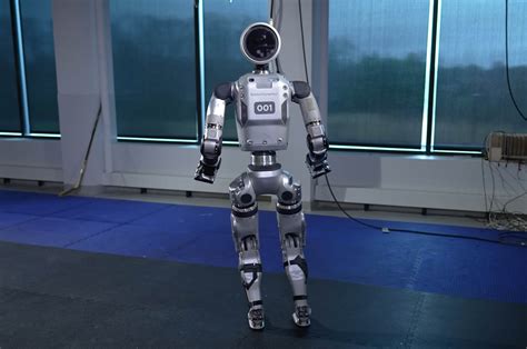 Boston Electronics Robots 的图像结果