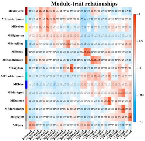 WGCNA Identifies a Comprehensive and Dynamic Gene Co-Expression Network ...