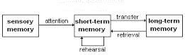 Image result for Multi-Store Memory Model OE