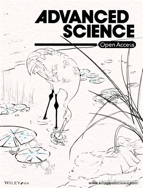 Advanced Science Topic 的图像结果