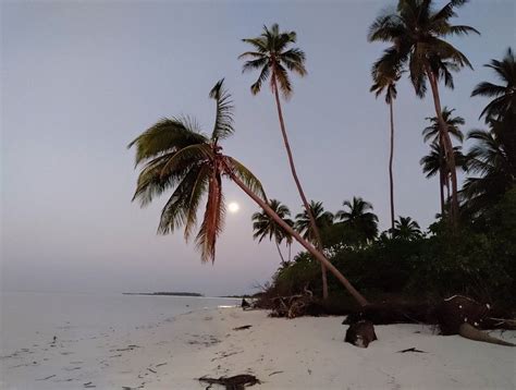 ISLAND OF THINNAKARA - All You Need to Know BEFORE You Go 2026 (with ...