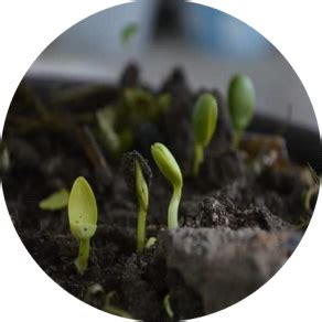 Watershed Development Component-Pradhan Mantri Krishi Sinchayee Yojana ...