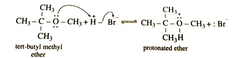 Tert Butyl Carbocation