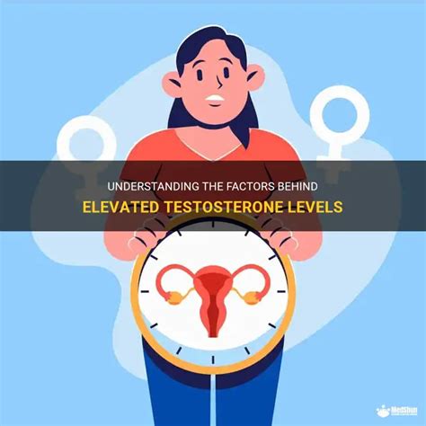Image result for High Testosterone Levels Sign