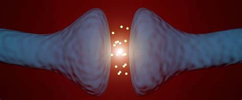 Image result for EC System