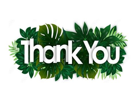 Agriculture Process 的图像结果