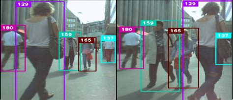 Image result for Deepsort Tutorial