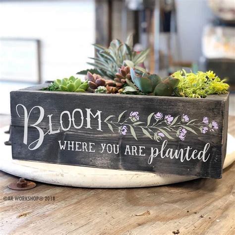 Thursday Night is Considered the Weekend, 16330 Lee Hwy, Gainesville ...