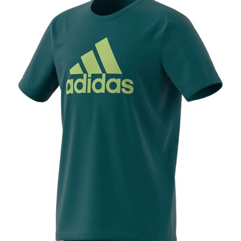 Buy Boys short sleeves t-shirts Teal at Best Price | Adidas kids