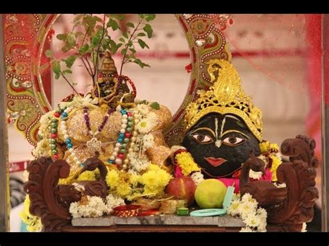 Tulsi Vivah in ISKCON : इस्‍कॉन मंदिरात तुळशी शाळिग्राम विवाहाचा जल् ...